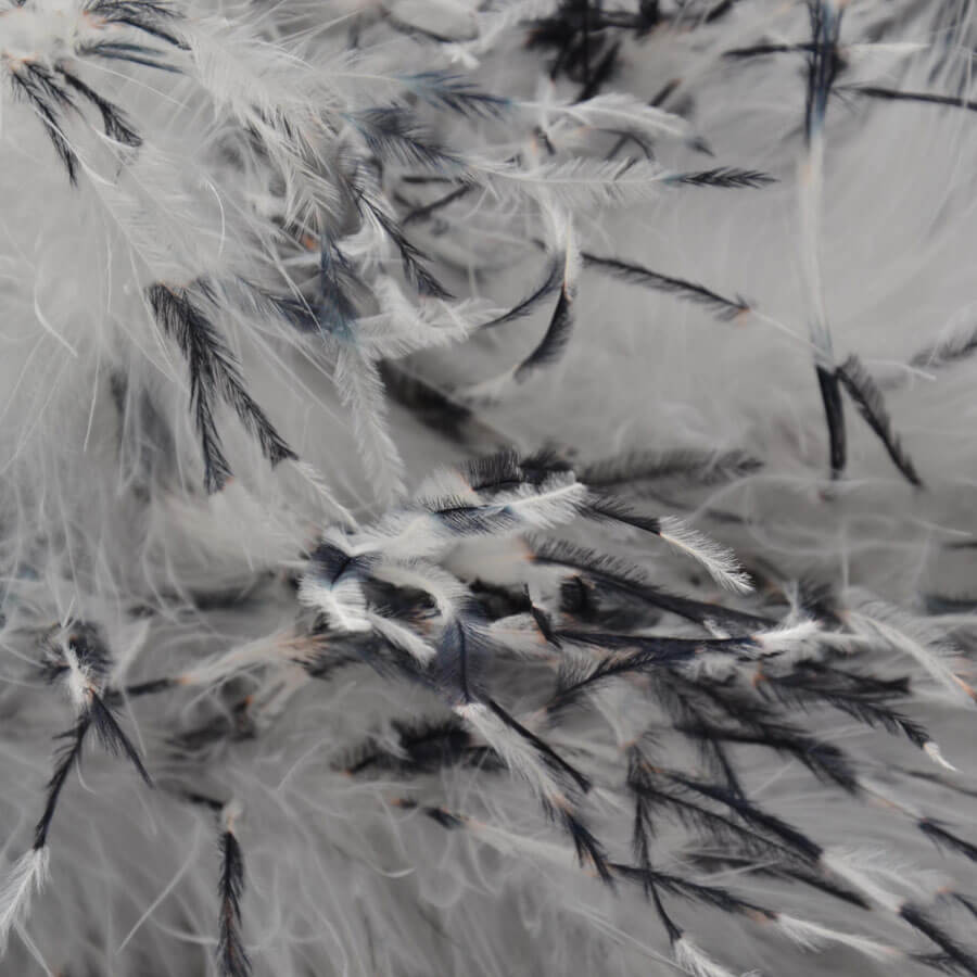 Plumas Ostrich Bicolor (pieza 2 Yardas) - varios colores - Imagen 31