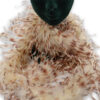 Plumas Ostrich Bicolor (pieza 2 Yardas) - varios colores - Thumbnail Image 26