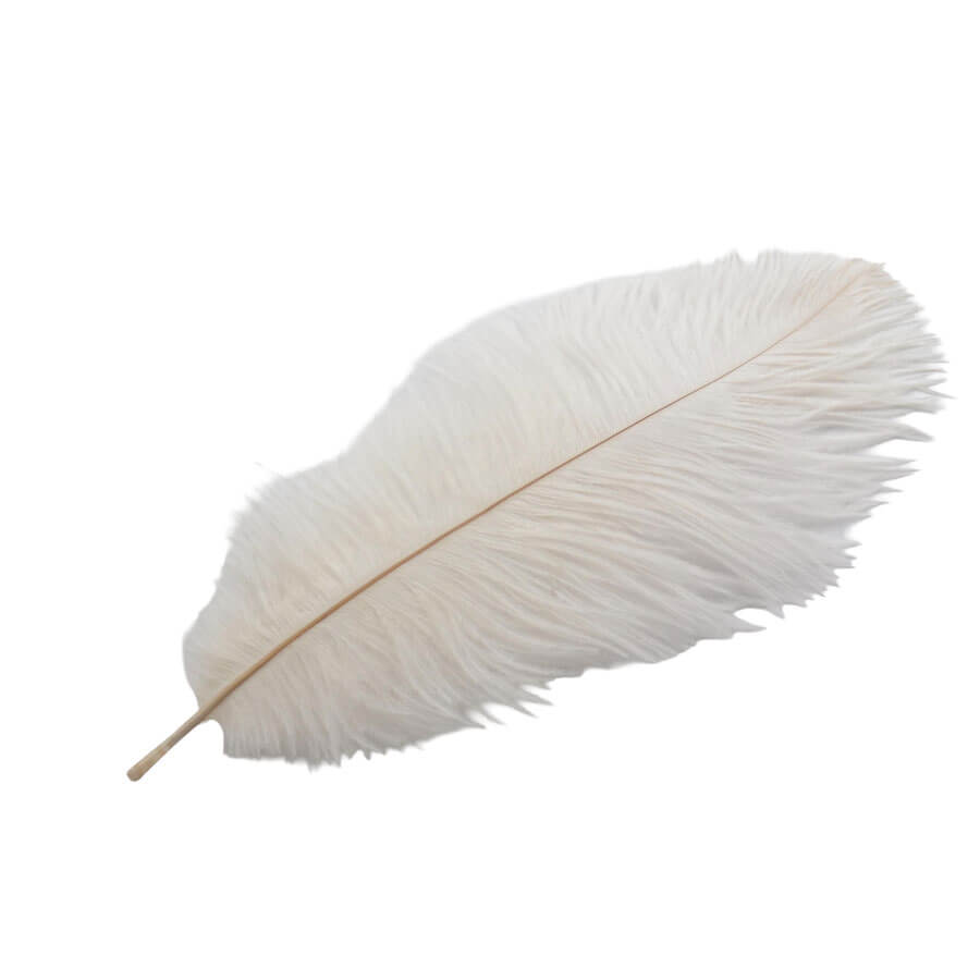Pluma Avestruz 55-60 cm 12 unidades - Varios colores - Imagen 2