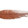 Pluma Avestruz 55-60 cm 12 unidades - Varios colores - Thumbnail Image 37