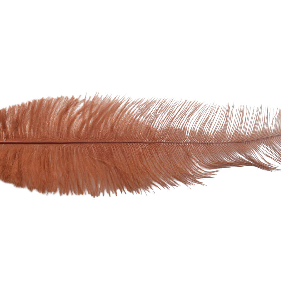 Pluma Avestruz 55-60 cm 12 unidades - Varios colores - Imagen 37