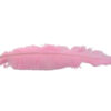 Pluma Avestruz 55-60 cm 12 unidades - Varios colores - Thumbnail Image 12