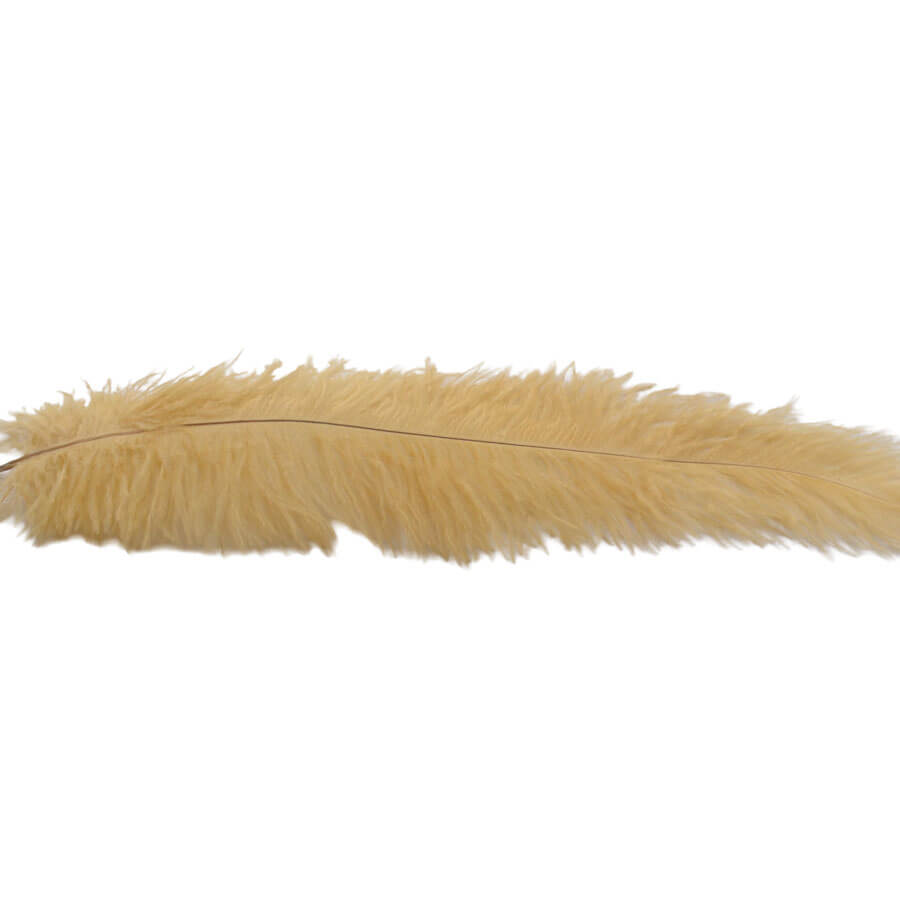 Pluma Avestruz 55-60 cm 12 unidades - Varios colores - Imagen 4
