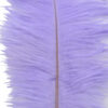 Pluma Avestruz 55-60 cm 12 unidades - Varios colores - Thumbnail Image 31