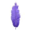 Pluma Avestruz 55-60 cm 12 unidades - Varios colores - Thumbnail Image 33