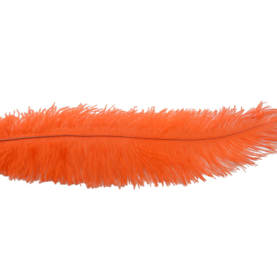 Pluma Avestruz 55-60 cm 12 unidades - Varios colores - Imagen 10