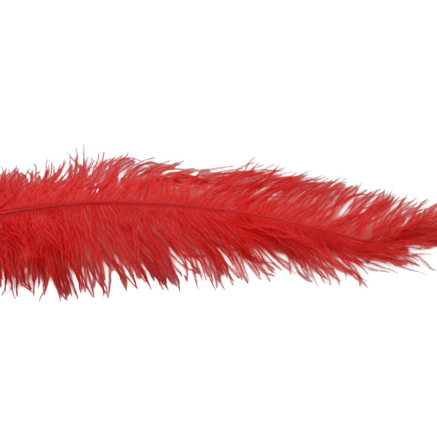 Pluma Avestruz 55-60 cm 12 unidades - Varios colores - Imagen 16