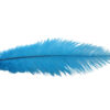 Pluma Avestruz 55-60 cm 12 unidades - Varios colores - Thumbnail Image 26