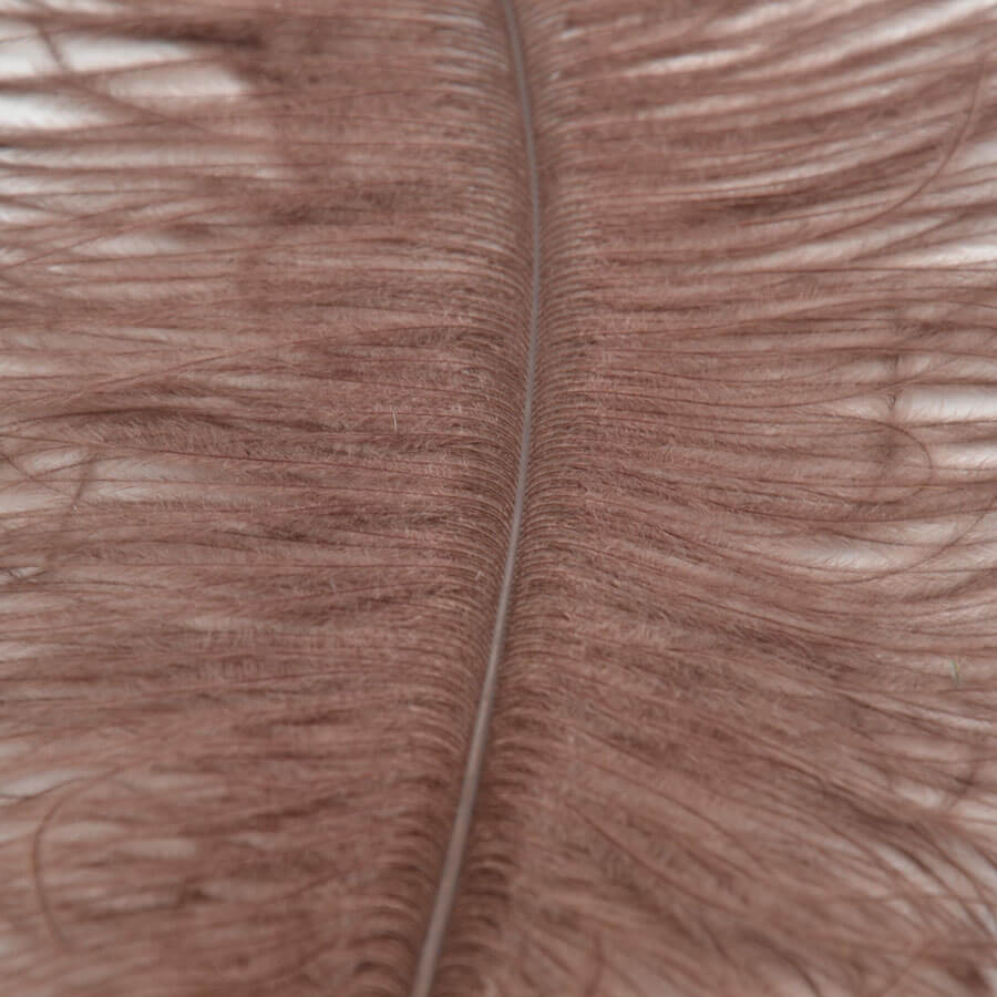 Pluma Avestruz 55-60 cm 12 unidades - Varios colores - Imagen 40
