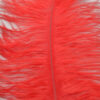Pluma Avestruz 55-60 cm 12 unidades - Varios colores - Thumbnail Image 17