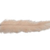 Pluma Avestruz 55-60 cm 12 unidades - Varios colores - Thumbnail Image 6