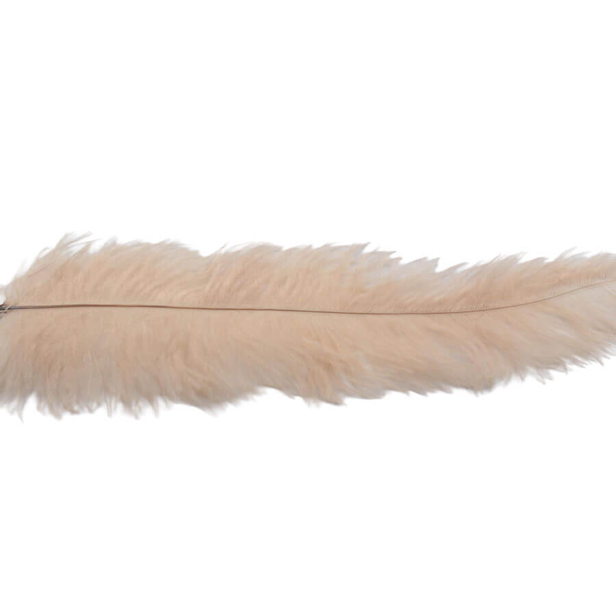 Pluma Avestruz 55-60 cm 12 unidades - Varios colores - Imagen 6