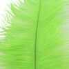 Pluma Avestruz 55-60 cm 12 unidades - Varios colores - Thumbnail Image 23