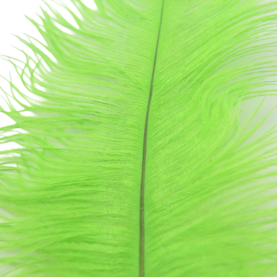 Pluma Avestruz 55-60 cm 12 unidades - Varios colores - Imagen 23