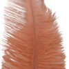 Pluma Avestruz 55-60 cm 12 unidades - Varios colores - Thumbnail Image 38
