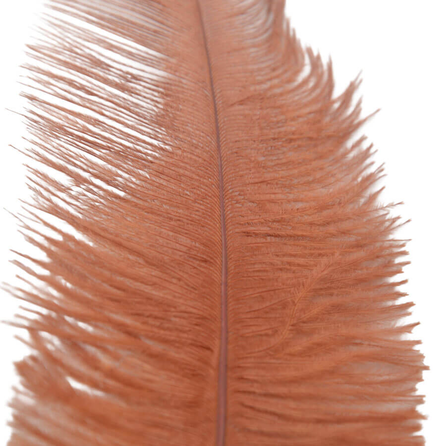 Pluma Avestruz 55-60 cm 12 unidades - Varios colores - Imagen 38