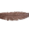 Pluma Avestruz 55-60 cm 12 unidades - Varios colores - Thumbnail Image 39