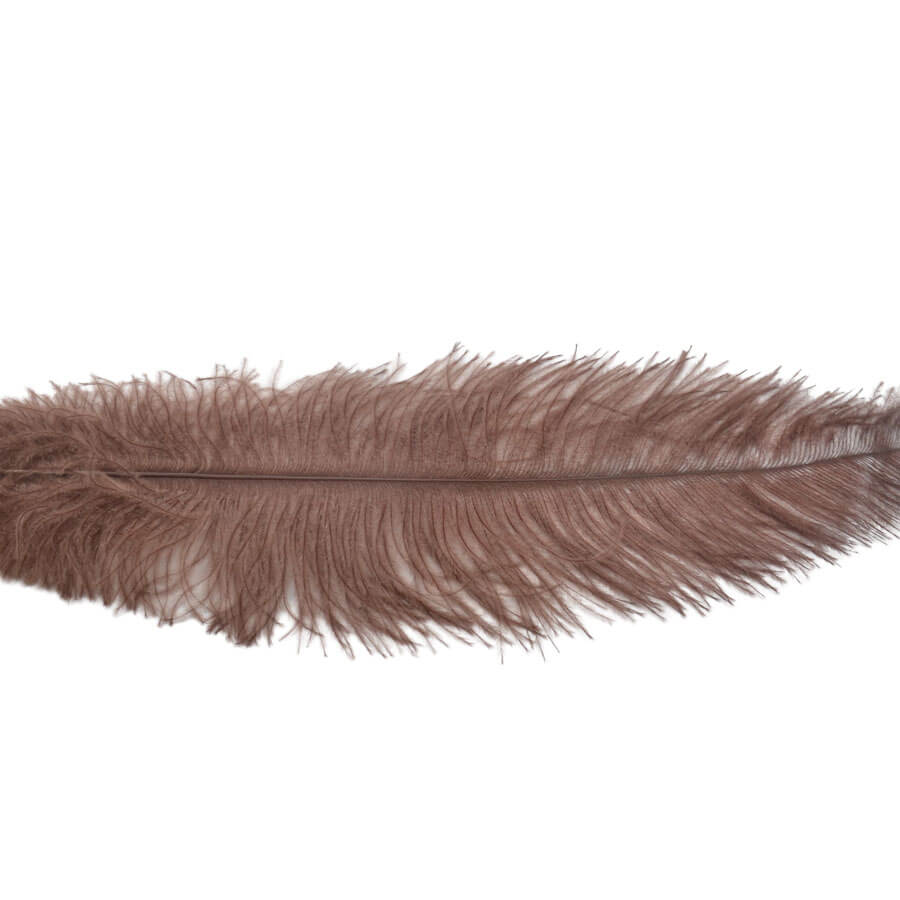 Pluma Avestruz 55-60 cm 12 unidades - Varios colores - Imagen 39