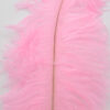 Pluma Avestruz 55-60 cm 12 unidades - Varios colores - Thumbnail Image 13