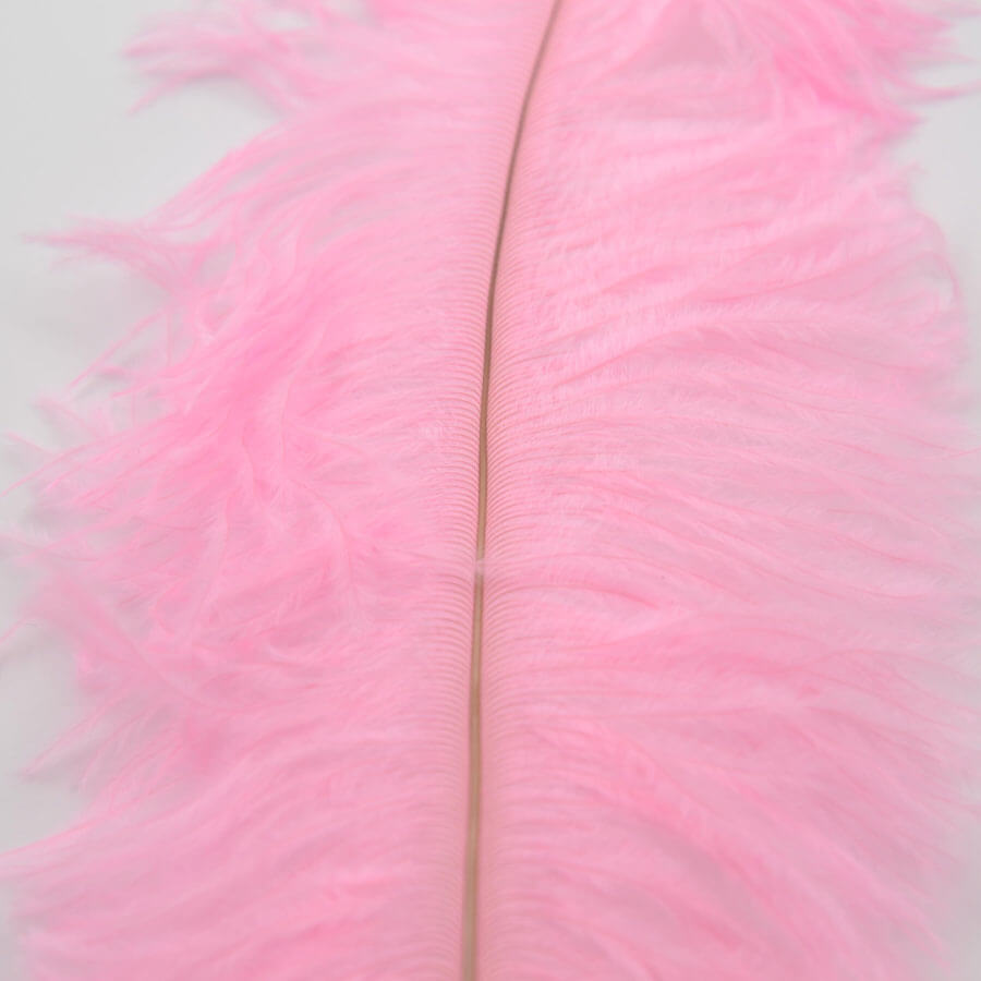 Pluma Avestruz 55-60 cm 12 unidades - Varios colores - Imagen 13