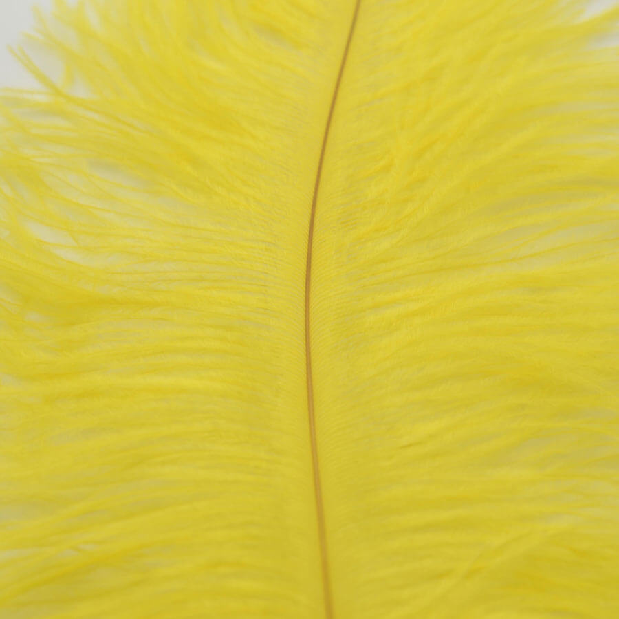 Pluma Avestruz 55-60 cm 12 unidades - Varios colores - Imagen 9