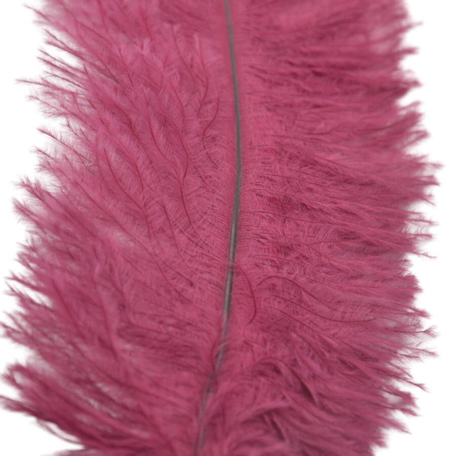 Pluma Avestruz 55-60 cm 12 unidades - Varios colores - Imagen 19
