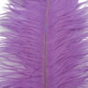Pluma Avestruz 55-60 cm 12 unidades - Varios colores - Thumbnail Image 36