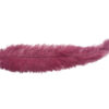 Pluma Avestruz 55-60 cm 12 unidades - Varios colores - Thumbnail Image 18