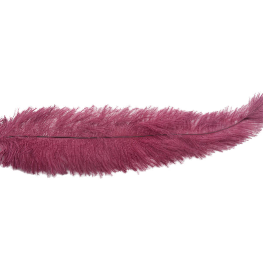 Pluma Avestruz 55-60 cm 12 unidades - Varios colores - Imagen 18