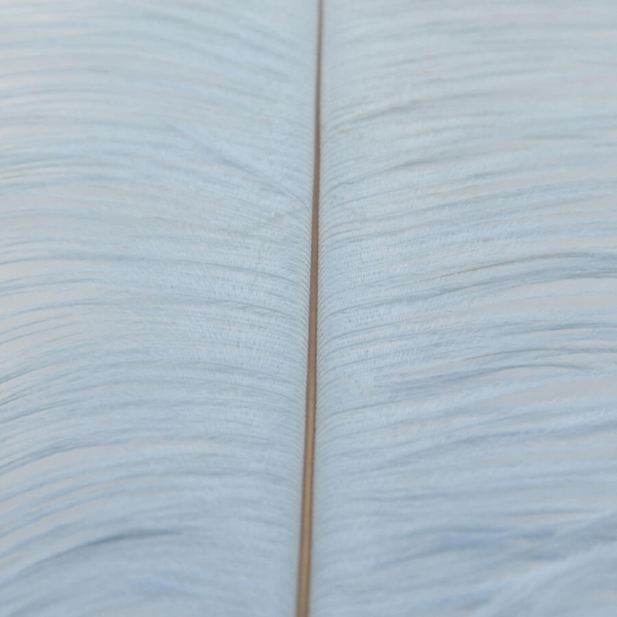 Pluma Avestruz 55-60 cm 12 unidades - Varios colores - Imagen 25