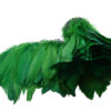 Pluma Ganso 15cm (pieza 2m) - varios colores - Thumbnail Image 13