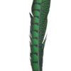 Pluma Faisán 10 unidades 60cm -varios colores - Thumbnail Image 17