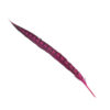Pluma Faisán 10 unidades 60cm -varios colores - Thumbnail Image 10