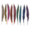 Pluma Faisán 10 unidades 60cm -varios colores - Thumbnail Image 1