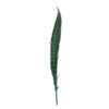 Pluma Faisán 10 unidades 60cm -varios colores - Thumbnail Image 16