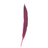 Pluma Faisán 10 unidades 60cm -varios colores - Thumbnail Image 8