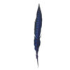 Pluma Faisán 10 unidades 60cm -varios colores - Thumbnail Image 21