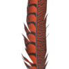 Pluma Faisán 10 unidades 60cm -varios colores - Thumbnail Image 12