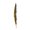 Pluma Faisán 10 unidades 60cm -varios colores - Thumbnail Image 5