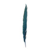 Pluma Faisán 10 unidades 60cm -varios colores - Thumbnail Image 18