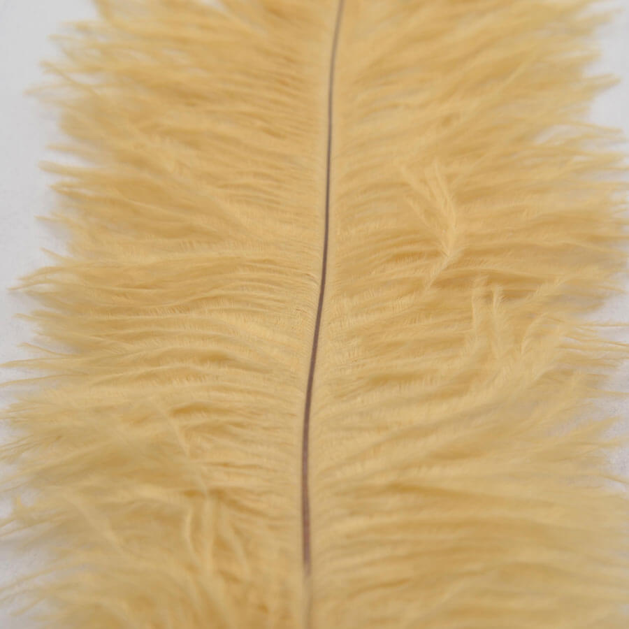 Pluma Avestruz 55-60 cm 12 unidades - Varios colores - Imagen 5