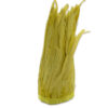 Pluma Gallo Tintada 30cm (pieza 100gr) - varios colores - Thumbnail Image 5
